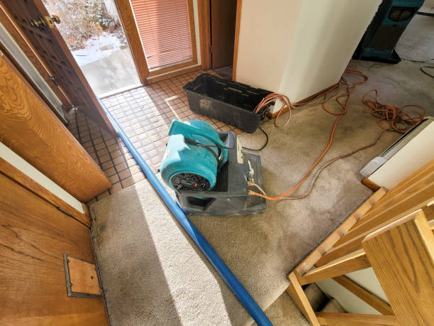 Best Storm and Flood Water Damage Restoration in Loudonville, OH