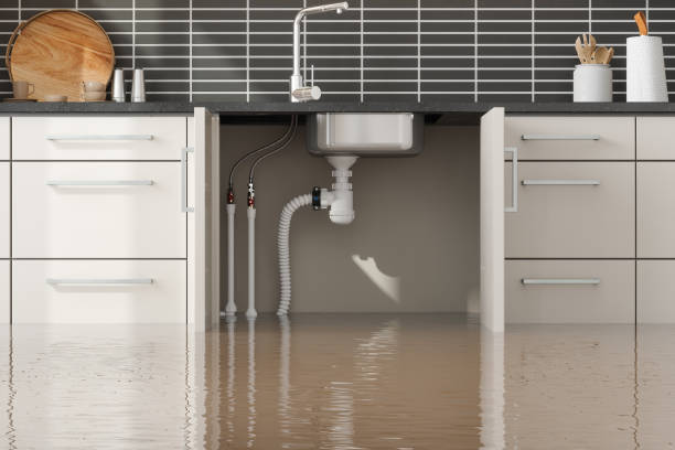 Odor Removal and Sanitization After Water Damage